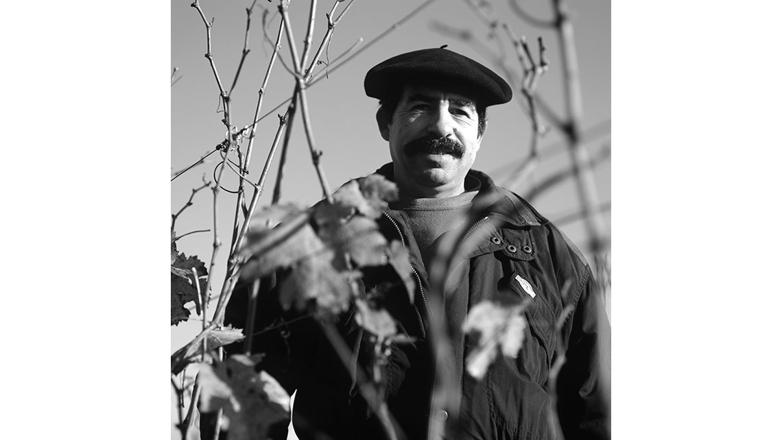 Portrait noir et blanc de Jean-Claude Labbe, Château Proms (Graves - Cru classique d'Yvon Mau), dans ses vignes ; © Richard Nourry